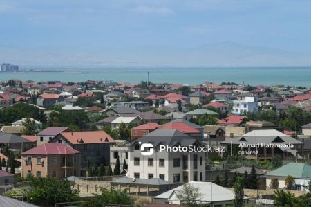 Azərbaycan faunası məhv olur... - aclıq, uyğunsuz şərait və insan təhlükəsi...