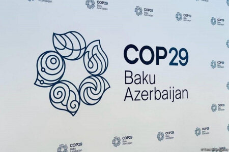 "29 İqlim söhbəti: COP29-a gedən yol" təşəbbüsü çərçivəsində növbəti beynəlxalq tədbir keçirilib