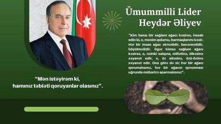 MEK “Yaşıl dünya naminə həmrəylik ili” adlı virtual sərgini təqdim edir