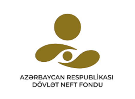 ARDNF-nin 2024-cü ilin yanvar-dekabr ayları üzrə gəlir və xərclərinə dair məlumat