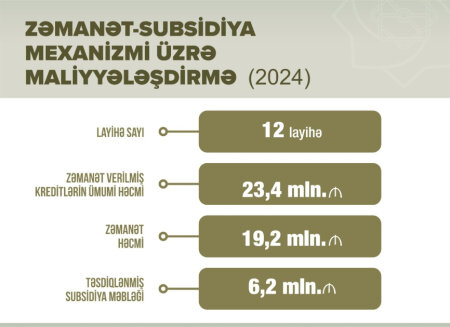 Sahibkarlar dövlətin güzəştli maliyyə mexanizmləri ilə bizneslərini inkişaf etdirirlər