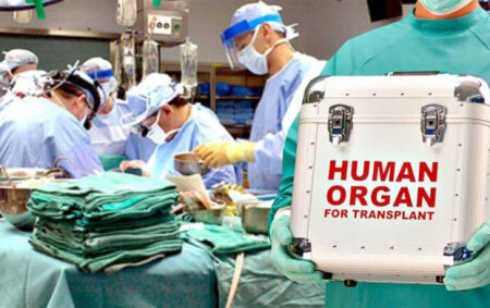 Ölümündən sonra donor olmaq istəyənlərin sayı azdır - Rəqəmlər AÇIQLANDI
