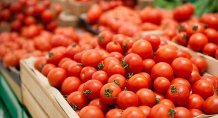 Pomidor orqanizmi xərçəngin hansı növlərindən qoruyur? - Alimlər açıqladı