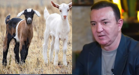 “Meydanı “çəpiş-çüpüşlər” doldurublar”