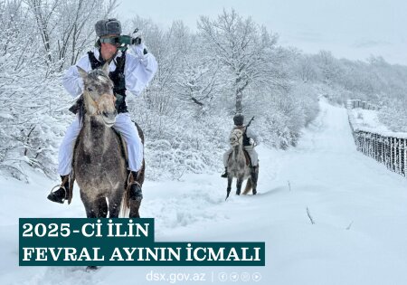 2025-ci ilin fevral ayının icmalı