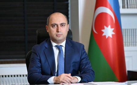 TAYFA QANUNLARI İLƏ İDARƏ OLUNAN TƏHSİLİMİZ- UĞURSUZ ƏYALƏT İDARƏÇİLİYİ