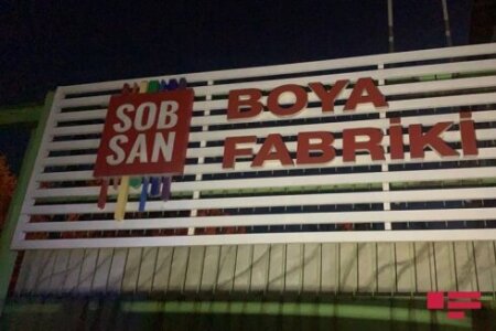 Səbzəliyev qardaşlarının “Sobsan” boya fabriki zəhərli,çirkab maddələrini gölə axıdır- Video