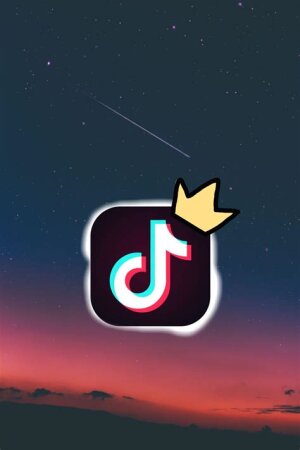 BU APARICI TikTok-da bir dəqiqəyə 100 manat qazanır