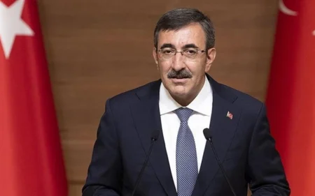Vitse-prezident iqtisadi boykot çağırışını sərt tənqid edib