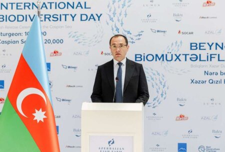 Koronavirusa yoluxan NMAZİRDƏN XƏBƏR VAR-TƏCİLİ