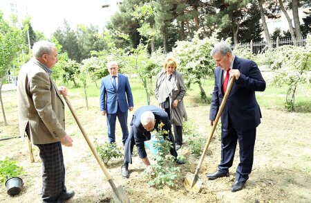 AMEA ərazisində təmizlik və yaşıllaşdırma günləri çərçivəsində yeni ağac tingləri və gül kolları əkilib