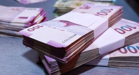 Agentlik daha 27 təşkilata maliyyə ayırdı - 100-dən çox...