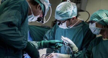 Alimlər BU şəkildə donor ürəyini "diriltmək" üsulu kəşf etdi