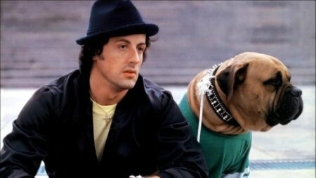 Öz yaxın dostunu 40 dollara satan Silvester Stallone elə günlərə qalıb ki... - Rembonun acı hekayəsi