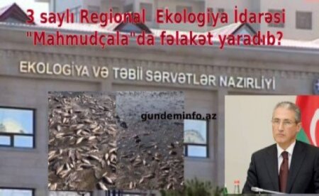 Biləsuvarda dəhşətli ekoloji fəlakət - SOS! 3 saylı Regional Ekologiya İdarəsində nə baş verir? VİDEO