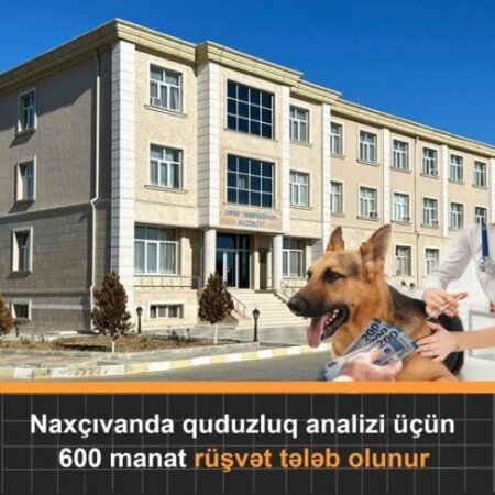Naxçıvanda quduzluq analizi üçün 600 manat rüşvət istəyirlər