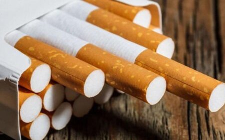 Yerin altında dünyanın ən böyük saxta siqaret fabriki aşkarlandı