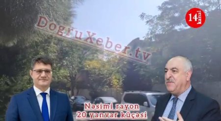 Nəsimidə yaşıllıqların qətli davam edir – kimlər bu cinayətə göz yumur? //VİDEO + FOTO