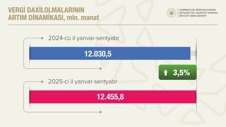 Vergilərin 73,6 faizi qeyri-neft-qaz sektorunun payına düşüb