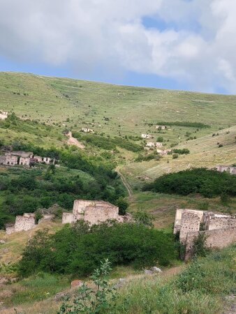 ŞƏHİD SURƏTİDIR BOY ATAN ÇİÇƏK