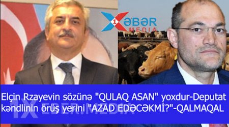 Elçin Rzayevin sözünə "QULAQ ASAN" yoxdur-Deputat kəndlinin örüş yerini "AZAD EDƏCƏKMİ?"-QALMAQAL-VİDEO