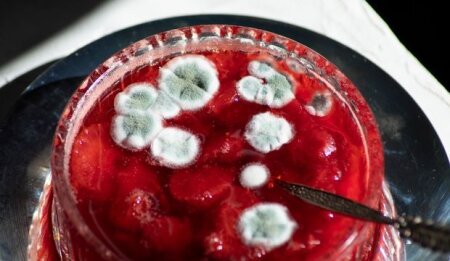 Kifli qidalar təhlükə saçır: Hansıları qətiyyən yemək olmaz?