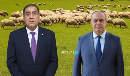 Həbs edilən icra başçıları şərik imiş