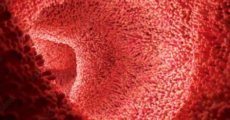 Orqan qədər vacibdir - Balans pozulanda xəstəliklər ağır yaranır