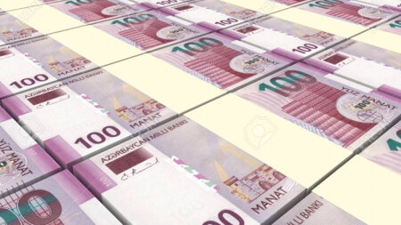 Manatın məzənnəsi sabit qalsa da, alıcılıq qabiliyyəti sürətlə aşağı düşür-DEPUTATDAN VACİB AÇIQLAMA