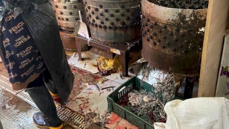 Belə şəraitdə satılan məhsulu yemək olar? - VİDEO