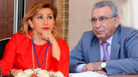 Ramiz Mehdiyevin qızı vəzifədən azad edildi
