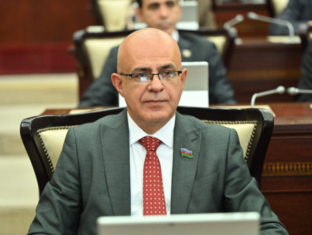 Deputat  Elçin Mirzəbəyli sosial şəbəkələrlə bağlı qanunu dəstəklədi