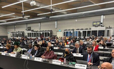 Ombudsman Aparatının nümayəndələri Cenevrədə BMT-nin İrqi ayrıseçkiliyin ləğv edilməsi üzrə Komitəsinin 116-cı Sessiyasında iştirak ediblər