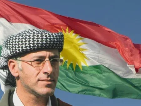 “Qırmızı Kürdüstan” iddiaları tamamilə əsassızdır - RƏY