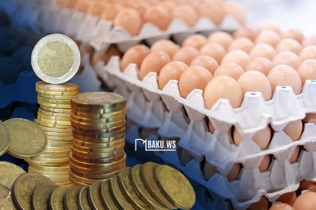 Azərbaycanda broyler yumurtaları BAHALAŞDI