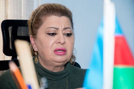 Samir Bağırova görə tənqid edilən sığınacaq rəhbəri: “Cəmiyyətin içində diskriminasiyaya, stiqmaya meyilli olan insanlar var” - VİDEO