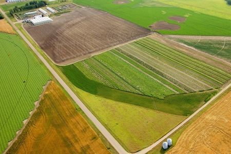 Aqrar təyinatlı torpaqlarda evlərin sənədləşməsi nə zaman həllini tapacaq? - VİDEO