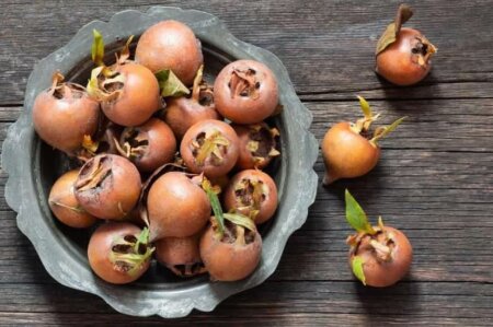 Əzgilin faydalarıı görün nədir-DİQQƏT!