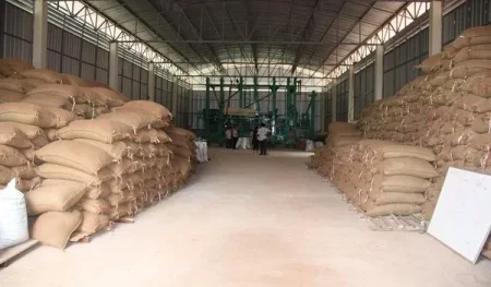 Azərbaycan İraqa heyvan yemi satışından gəlirini artırıb