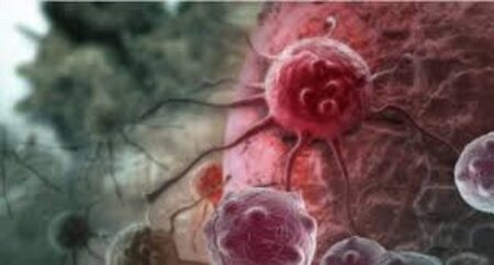 Alimlər xərçəngin müalicəsində ciddi dönüş yarada bilən eksperimental nəticələr açıqlayıblar