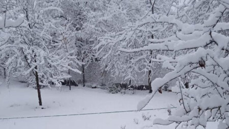 Bu tarixdə QAR YAĞACAQ