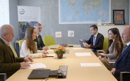 Leyla Əliyeva və Qretel Agilar İsveçrədə əməkdaşlıq imkanlarını müzakirə ediblər