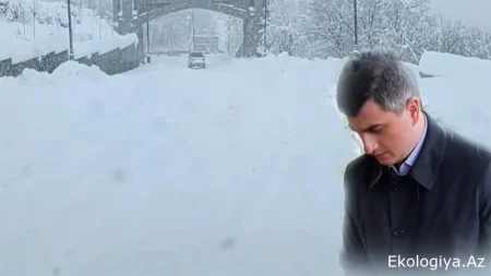 LERİK İFLİC OLDU-BAŞÇI Əkbər Abbasov ŞOK DURUMDA