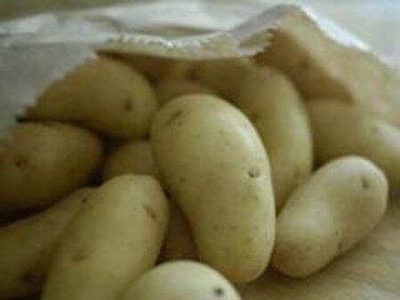 BAZARLARDA GÖRÜN HANSI NÖV KARTOF SATILIR-XƏBƏRDARLIQ