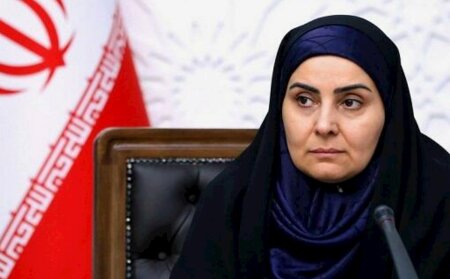 İranlı nazir gecə ikən Bakıya gəldi — FOTO