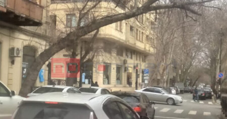 Nəsimidə kritik vəziyyət: Ağaclar hər an aşa bilər – Qurumlar niyə susur? /VİDEO