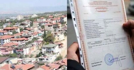 Bələdiyyə torpaqları PROBLEMİ – Çıxarışı necə almalı?