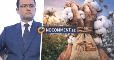 Pambıqçılıqda fermerlər niyə “qul əməyinə” məhkum edilir? -PREZİDENTƏ VERİLƏN VƏDLƏRƏ ƏMƏL EDİLMİR
