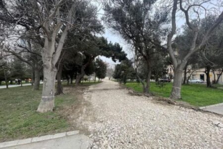 Ağacları qırıb yol saldılar: Zorge parkı məhv edilir – ETİRAZ