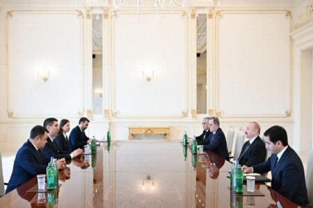 Prezident İlham Əliyev Moldova xarici işlər nazirini qəbul etdi - FOTO